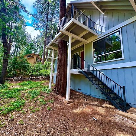 Cabin In The Trees-Game Room Pollock Pines エクステリア 写真
