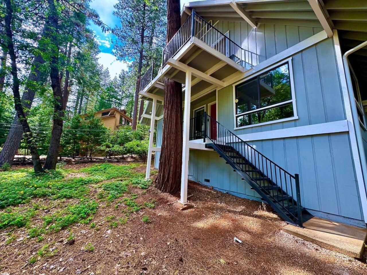 Cabin In The Trees-Game Room Pollock Pines エクステリア 写真
