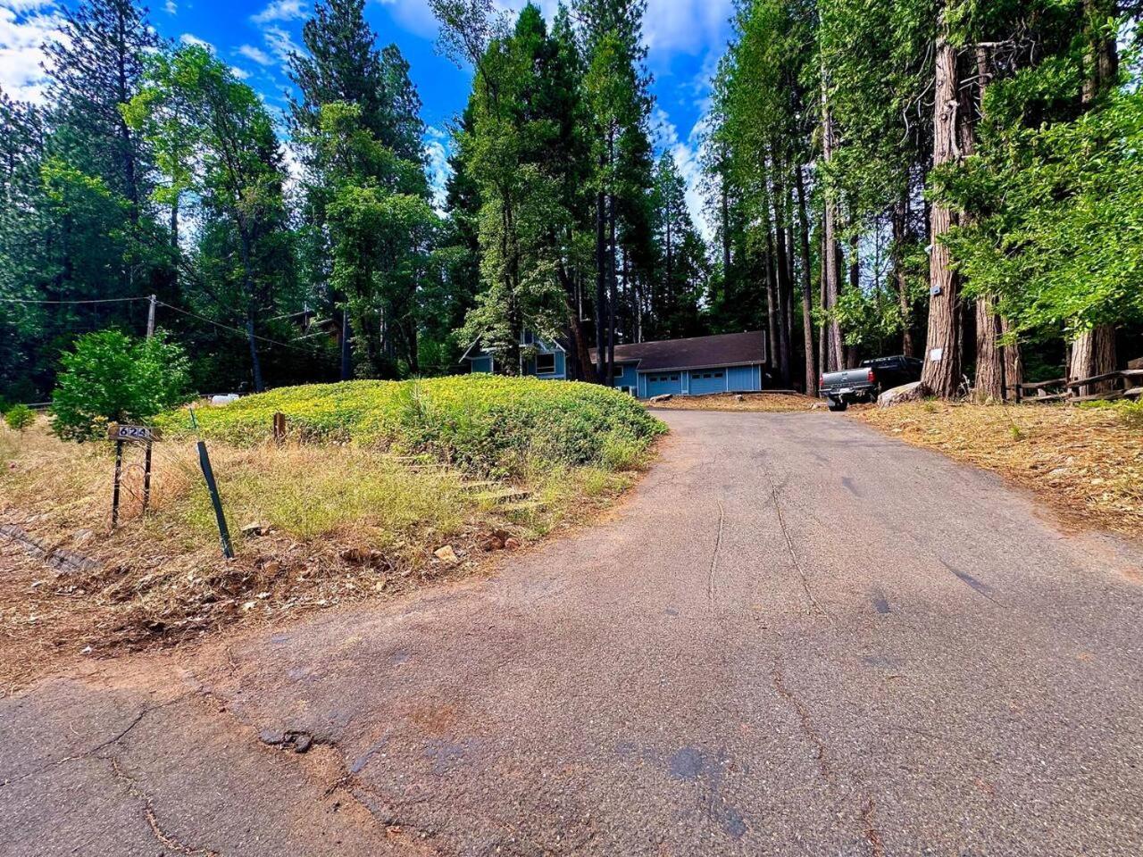 Cabin In The Trees-Game Room Pollock Pines エクステリア 写真