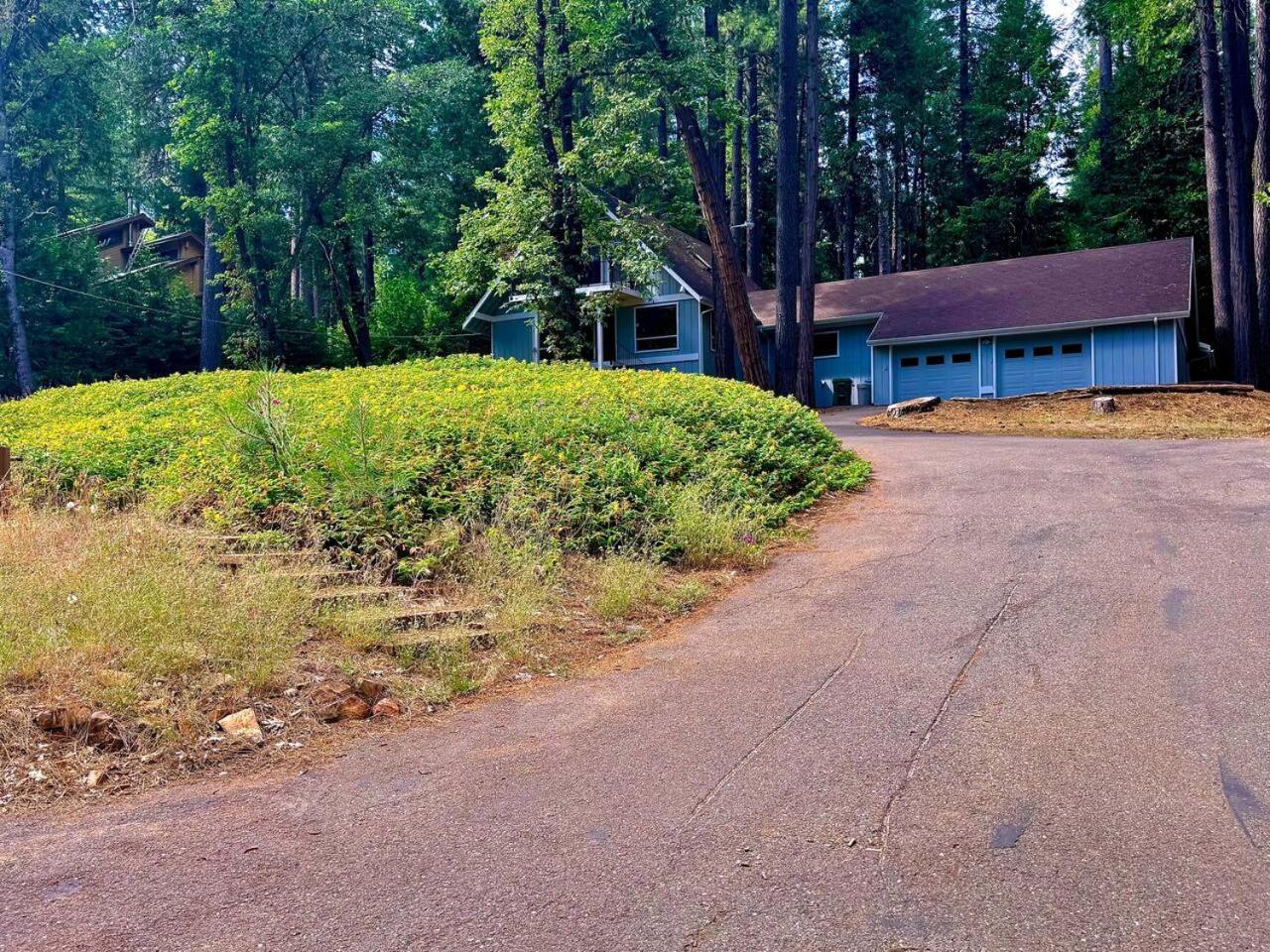 Cabin In The Trees-Game Room Pollock Pines エクステリア 写真