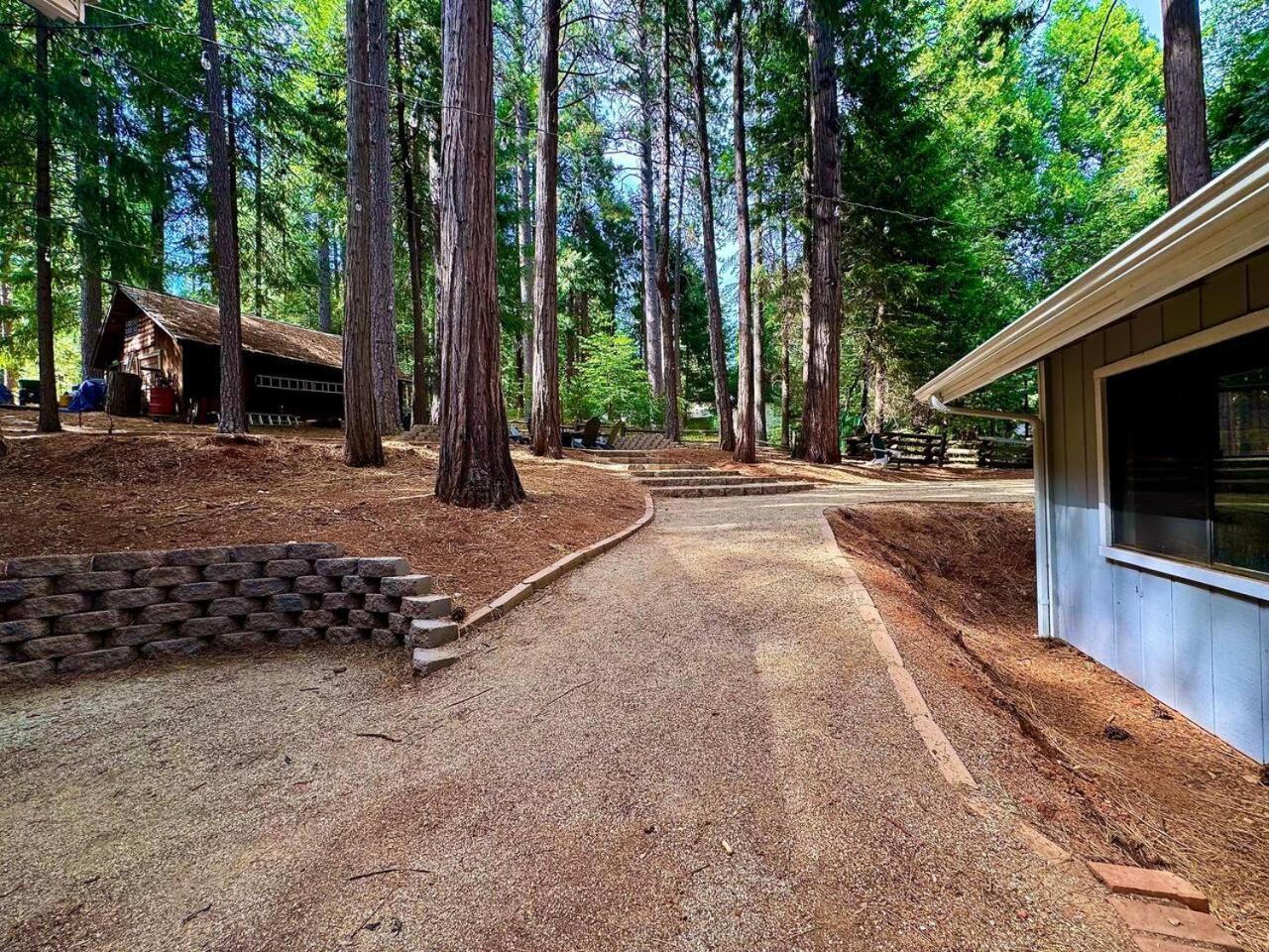 Cabin In The Trees-Game Room Pollock Pines エクステリア 写真