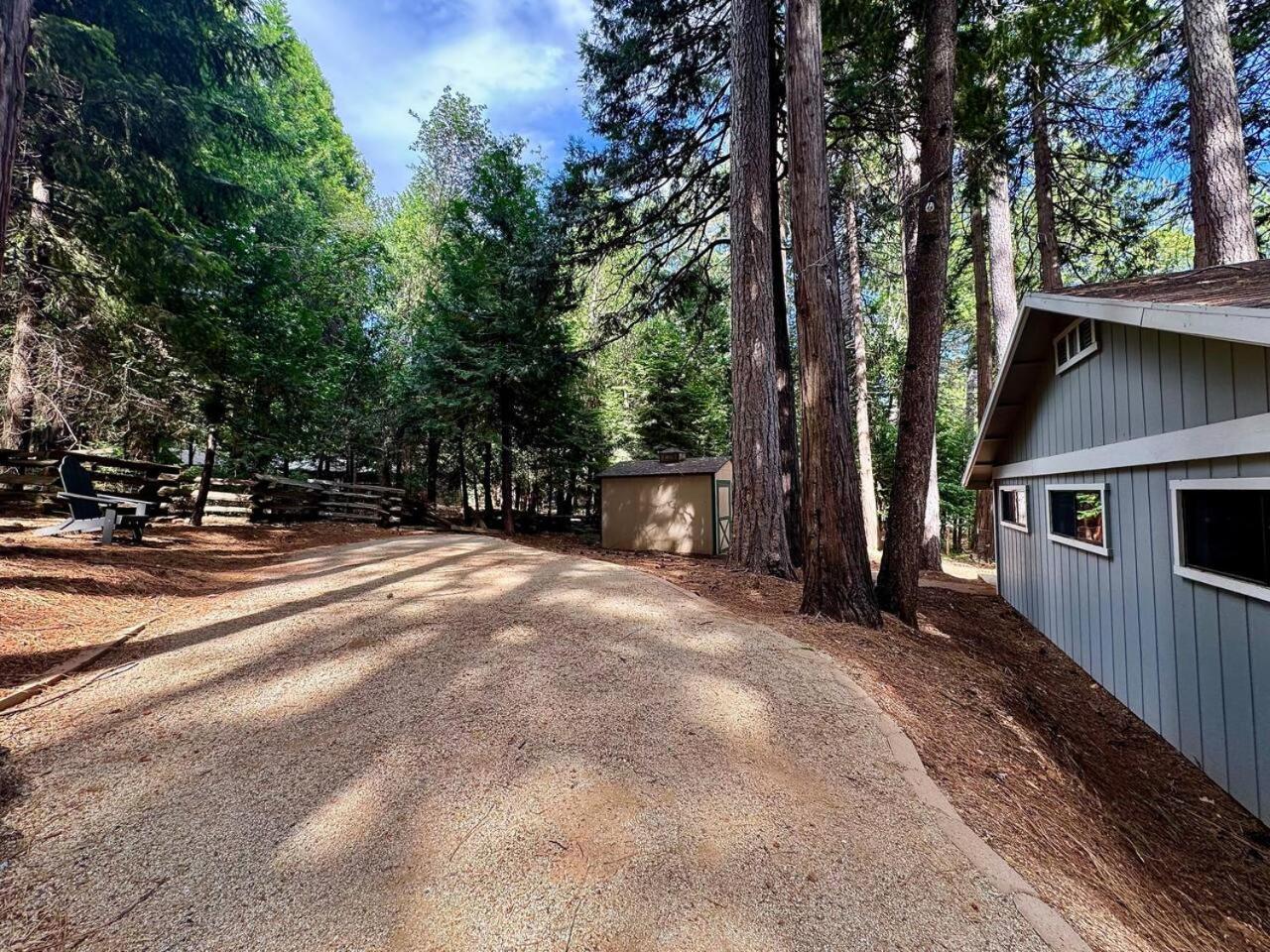 Cabin In The Trees-Game Room Pollock Pines エクステリア 写真