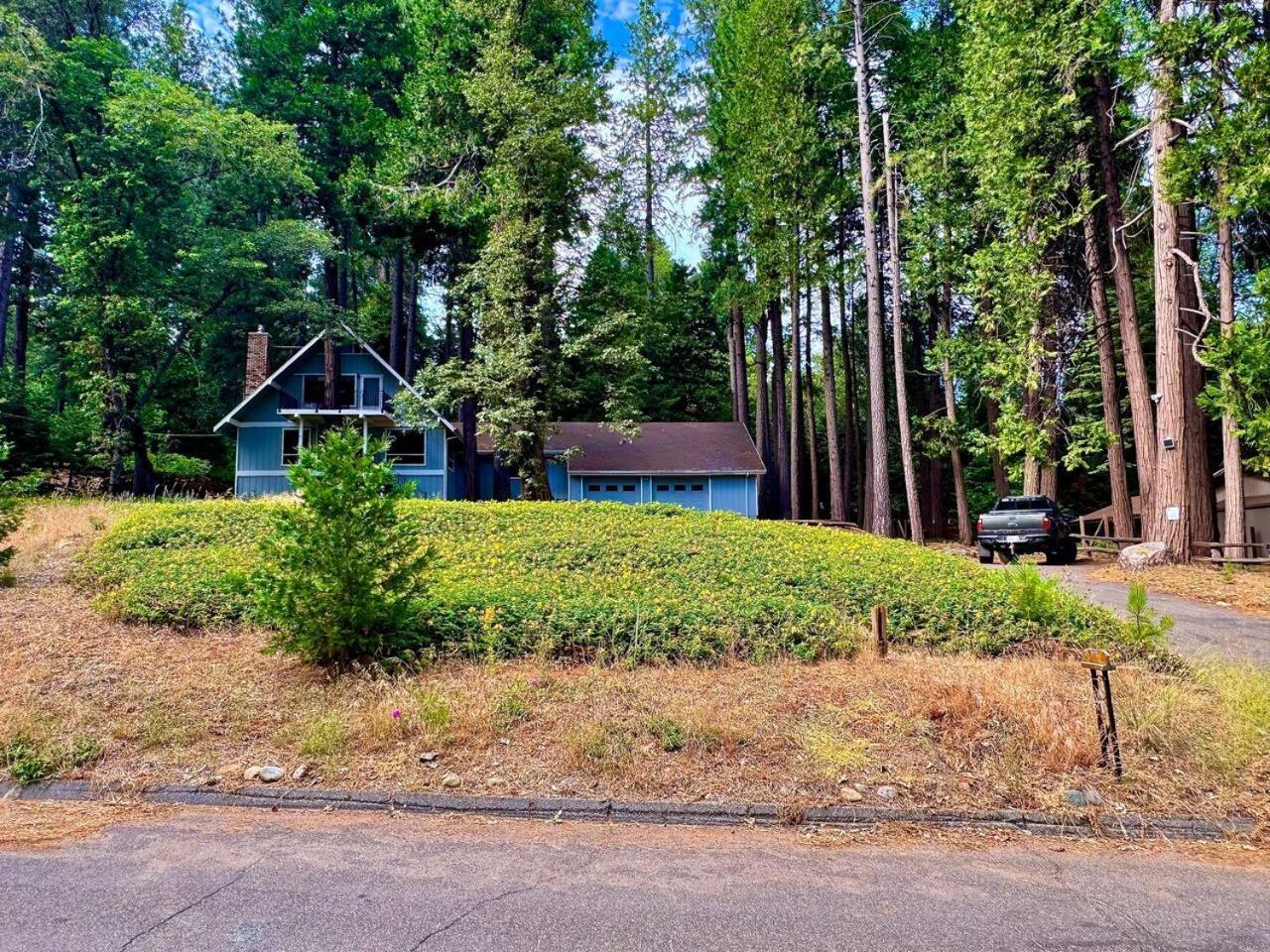 Cabin In The Trees-Game Room Pollock Pines エクステリア 写真